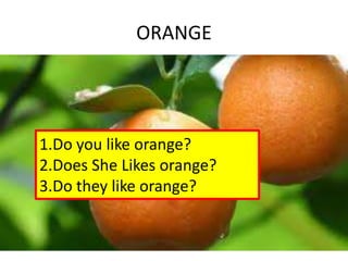 ORANGE
1.Do you like orange?
2.Does She Likes orange?
3.Do they like orange?
 