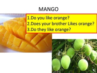 MANGO
1.Do you like orange?
2.Does your brother Likes orange?
3.Do they like orange?
 