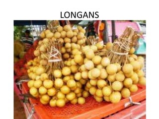 LONGANS
 