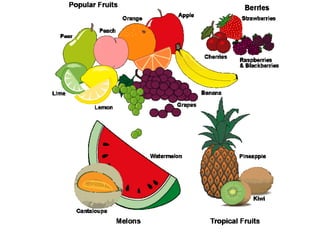 Fruit