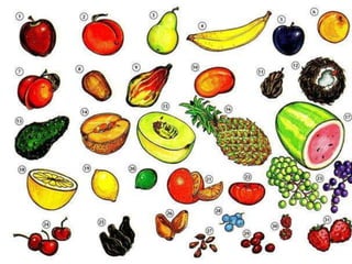 Fruit