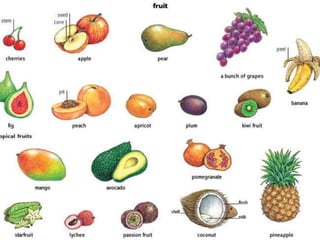 Fruit