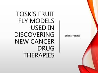 TOSK’S FRUIT
FLY MODELS
USED IN
DISCOVERING
NEW CANCER
DRUG
THERAPIES
Brian Frenzel
 