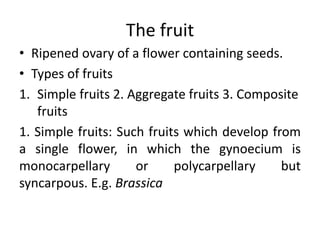 Fruit | PPTX
