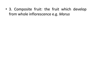 Fruit | PPTX