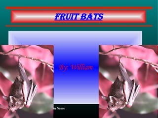 By: William Fruit bats 