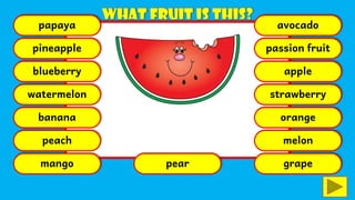 papaya
pineapple
blueberry
watermelon
banana
peach
mango pear
avocado
passion fruit
apple
strawberry
orange
melon
grape
 