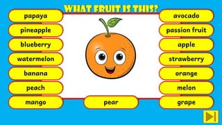 papaya
pineapple
blueberry
watermelon
banana
peach
mango pear
avocado
passion fruit
apple
strawberry
orange
melon
grape
 