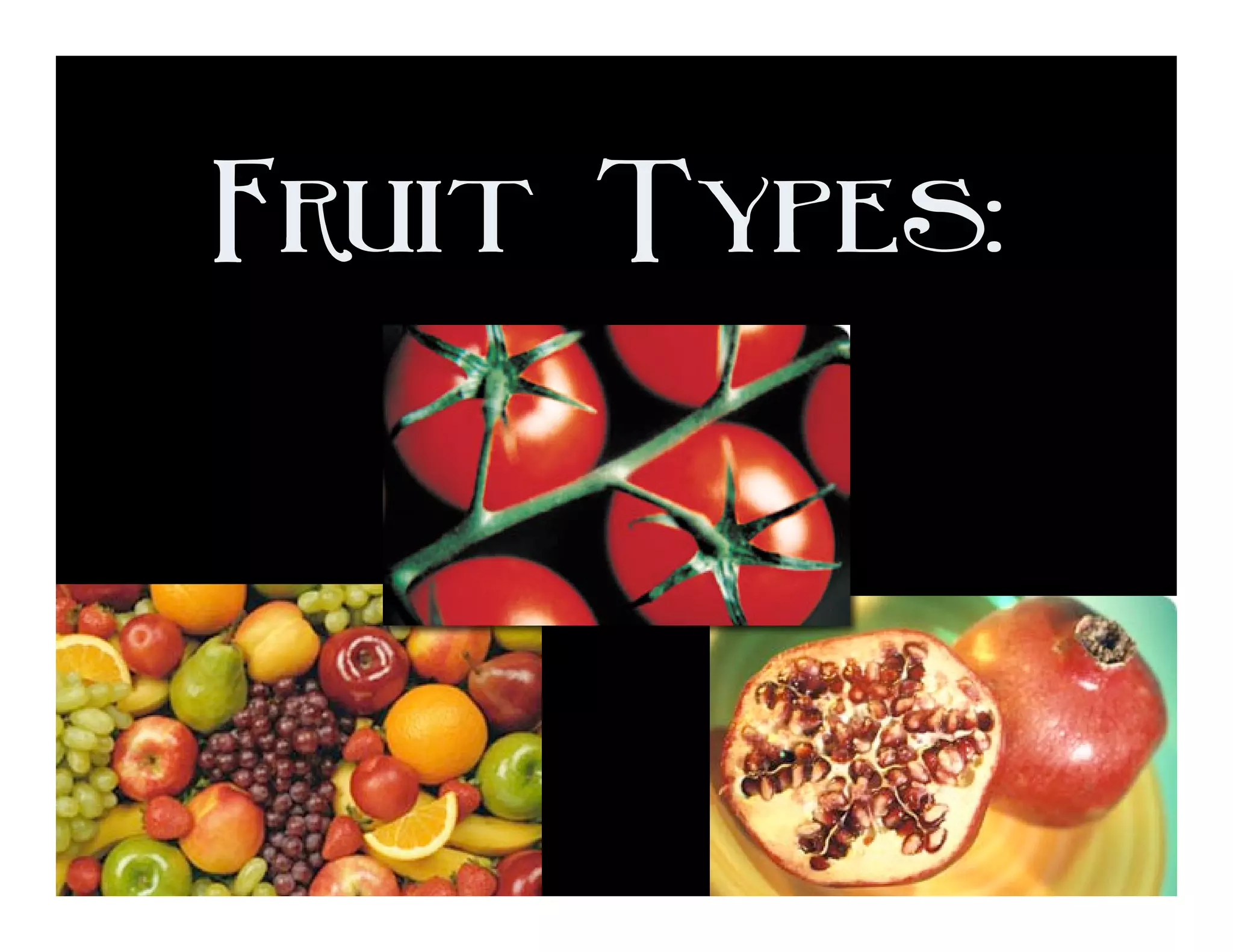 A Look at Fruit Types
