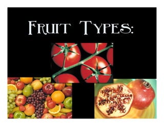 Fruit Types:
 