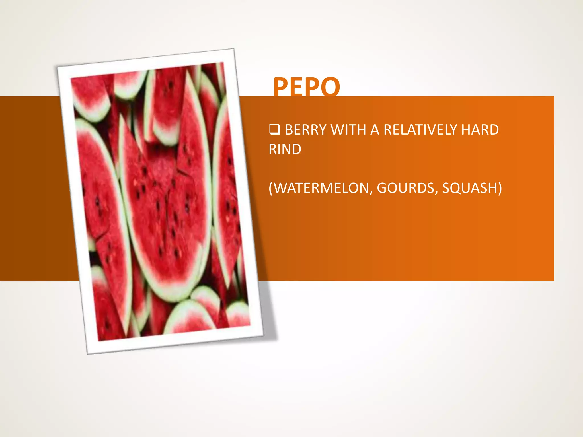 PEPO
 BERRY WITH A RELATIVELY HARD
RIND
(WATERMELON, GOURDS, SQUASH)
 