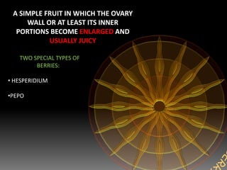 A SIMPLE FRUIT IN WHICH THE OVARY
WALL OR AT LEAST ITS INNER
PORTIONS BECOME ENLARGED AND
USUALLY JUICY
TWO SPECIAL TYPES OF
BERRIES:
• HESPERIDIUM
•PEPO
 