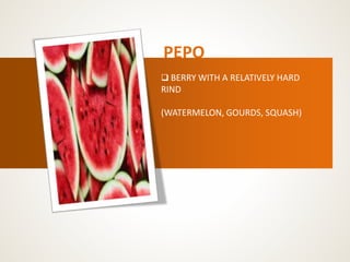 PEPO
 BERRY WITH A RELATIVELY HARD
RIND
(WATERMELON, GOURDS, SQUASH)
 