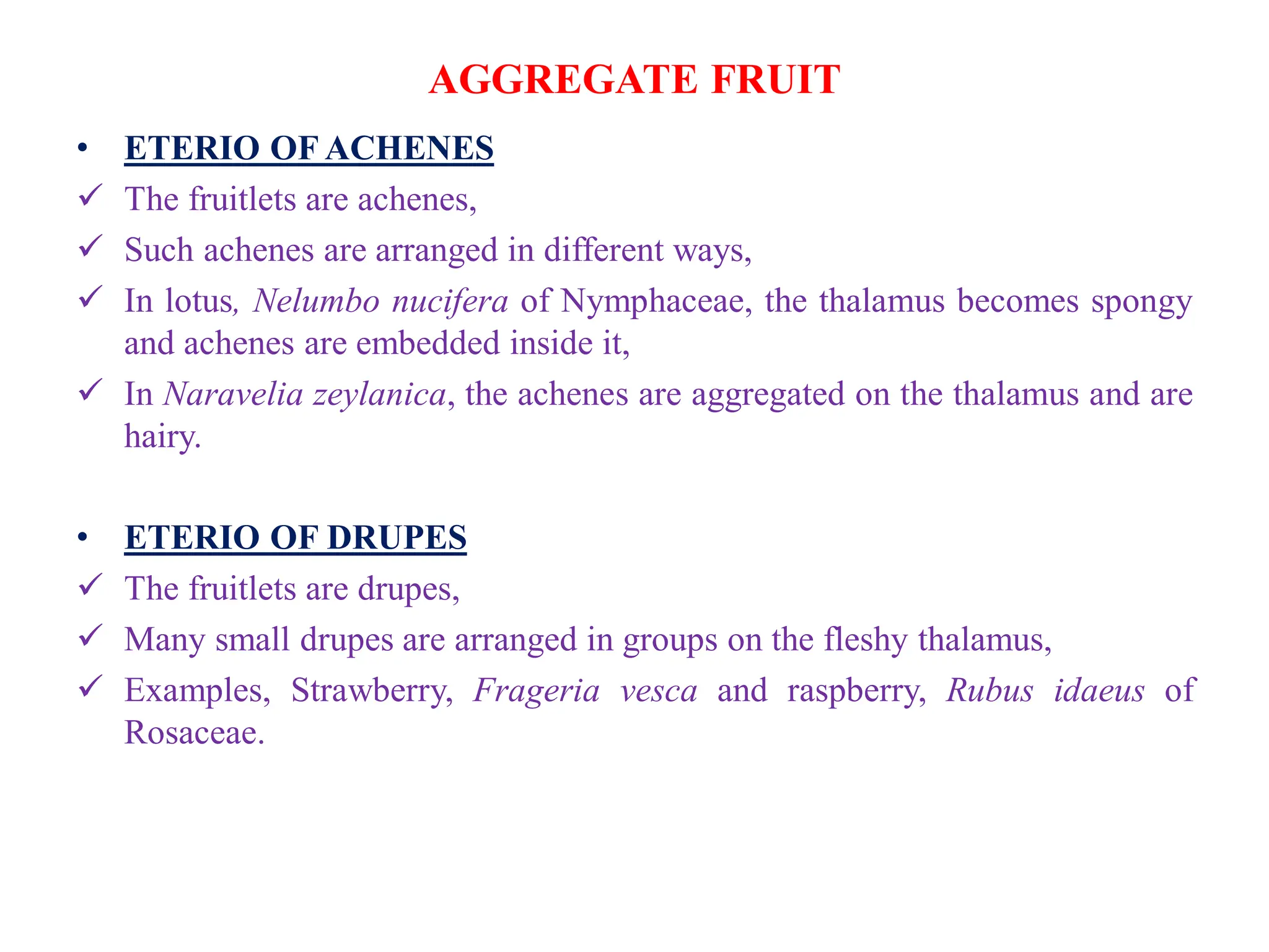 FRUIT-TYPES AND TAXONOMIC SIGNIFICANCE.pdf