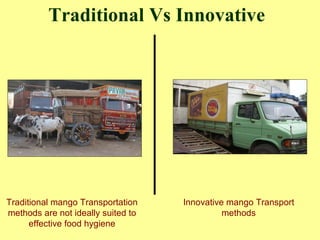 Traditional Vs Innovative Traditional mango Transportation methods are not ideally suited to effective food hygiene Innovative mango Transport methods 