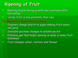 Ripening of FruitRipening of Fruit
 Ripening begins during growth and continues afterRipening begins during growth and continues after
harvestingharvesting
 Unripe fruit is less palatable than ripeUnripe fruit is less palatable than ripe
Changes that happen during ripening:Changes that happen during ripening:
1.1. Enzymes change starch to sugar making fruit sweetEnzymes change starch to sugar making fruit sweet
and juicyand juicy
2.2. Insoluble pectose changes to soluble pectinInsoluble pectose changes to soluble pectin
3.3. Ethylene gas that helps ripening is made in some fruitEthylene gas that helps ripening is made in some fruit
(bananas)(bananas)
4.4. Fruit changes colour, texture and flavourFruit changes colour, texture and flavour
 