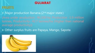 GUJARAT
FRUITS
 Major production Banana.(2nd major state)
{Area under production- 46,300 ha, Production -1.9 million
tonnes, Productivity- 42.7 tonnes/ha (Higher than national
average productivity)}
 Other surplus fruits are Papaya, Mango, Sapota
 