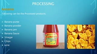 PROCESSING
BANANA
Following can be the Processed products.
 Banana puree
 Banana powder
 Banana jam
 Banana Sauce
 Vinegar
 Chips
 wine
 