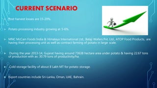CURRENT SCENARIO
 Post harvest losses are 15-20%.
 Potato processing industry growing at 5-6%.
 MNC McCain Foods India & Himalaya International Ltd., Balaji Wafers Pvt. Ltd., ATOP Food Products, are
having their processing unit as well as contract farming of potato in large scale.
 During the year 2013-14, Gujarat having around 73638 hectare area under potato & having 22.67 tons
of production with av. 30.79 tons of productivity/ha.
 Cold storage facility of about 8 Lakh MT for potato storage.
 Export countries include Sri-Lanka, Oman, UAE, Bahrain.
 