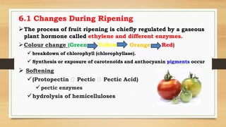 Fruit and Vegetable processing technology.pdf