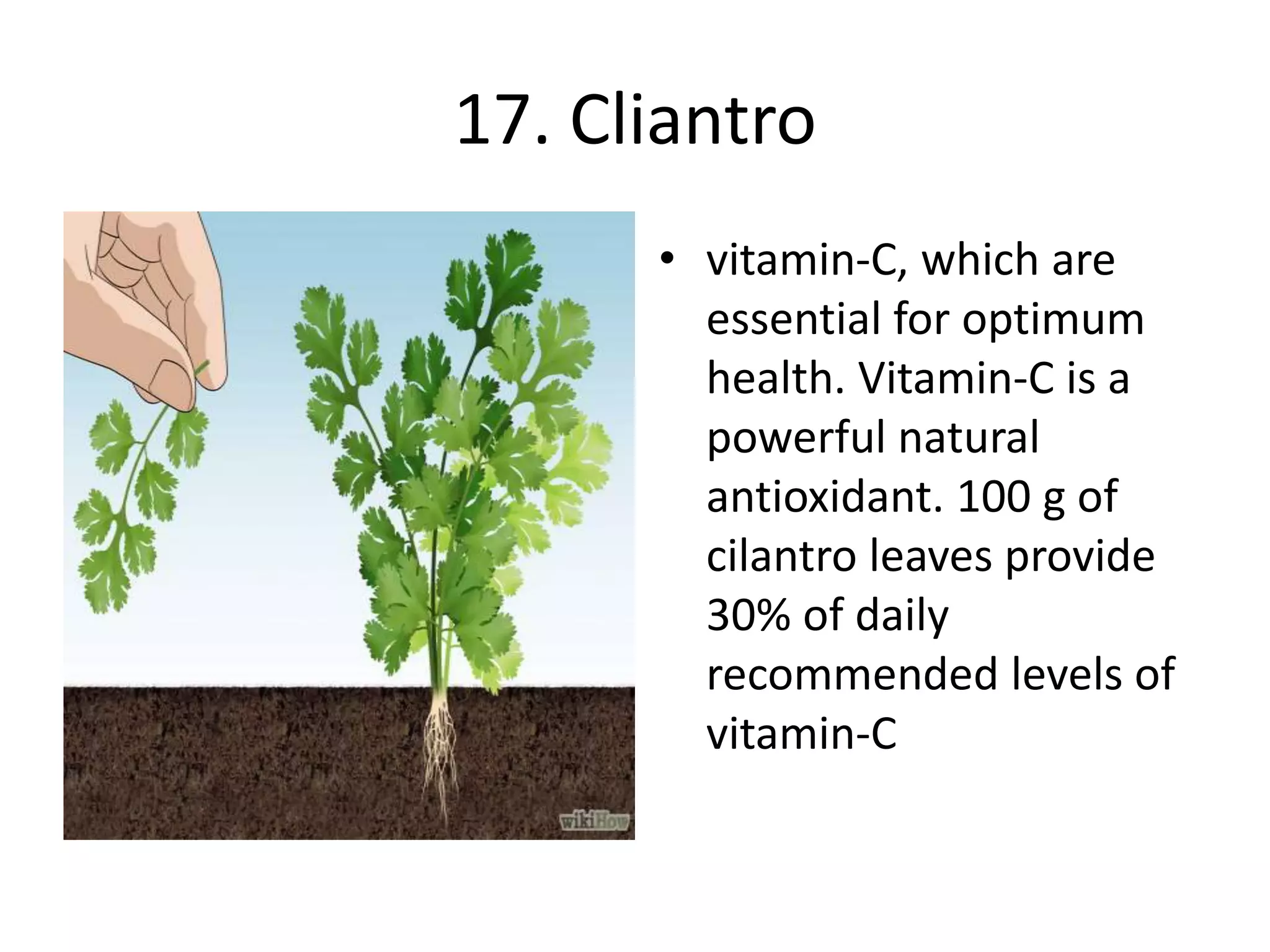 17. Cliantro
• vitamin-C, which are
essential for optimum
health. Vitamin-C is a
powerful natural
antioxidant. 100 g of
cilantro leaves provide
30% of daily
recommended levels of
vitamin-C
 