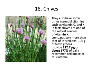 18. Chives
• They also have some
other essential vitamins
such as vitamin C, and K,
in fact; chives are one of
the richest sources
of vitamin K,
comparatively more than
that of in scallions. 100 g
of fresh greens
provide 212.7 µg or
about 177% of daily
recommended intake of
this vitamin.
 
