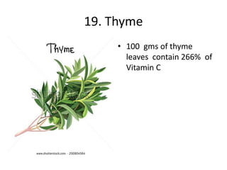 19. Thyme
• 100 gms of thyme
leaves contain 266% of
Vitamin C
 