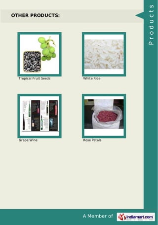 A Member of
OTHER PRODUCTS:
Tropical Fruit Seeds White Rice
Grape Wine Rose Petals
Products
 