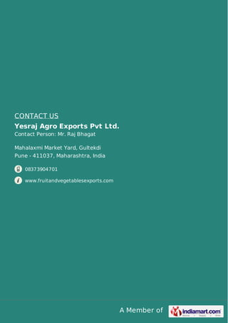 A Member of
CONTACT US
Yesraj Agro Exports Pvt Ltd.
Contact Person: Mr. Raj Bhagat
Mahalaxmi Market Yard, Gultekdi
Pune - 411037, Maharashtra, India
08373904701
www.fruitandvegetablesexports.com
 