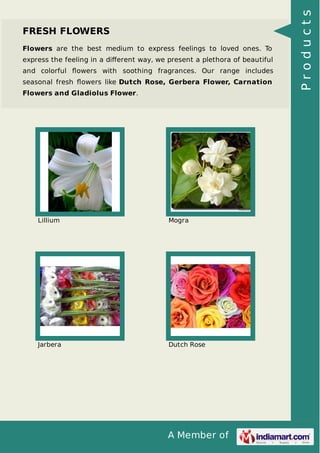 A Member of
FRESH FLOWERS
Flowers are the best medium to express feelings to loved ones. To
express the feeling in a diﬀerent way, we present a plethora of beautiful
and colorful ﬂowers with soothing fragrances. Our range includes
seasonal fresh ﬂowers like Dutch Rose, Gerbera Flower, Carnation
Flowers and Gladiolus Flower.
Lillium Mogra
Jarbera Dutch Rose
Products
 
