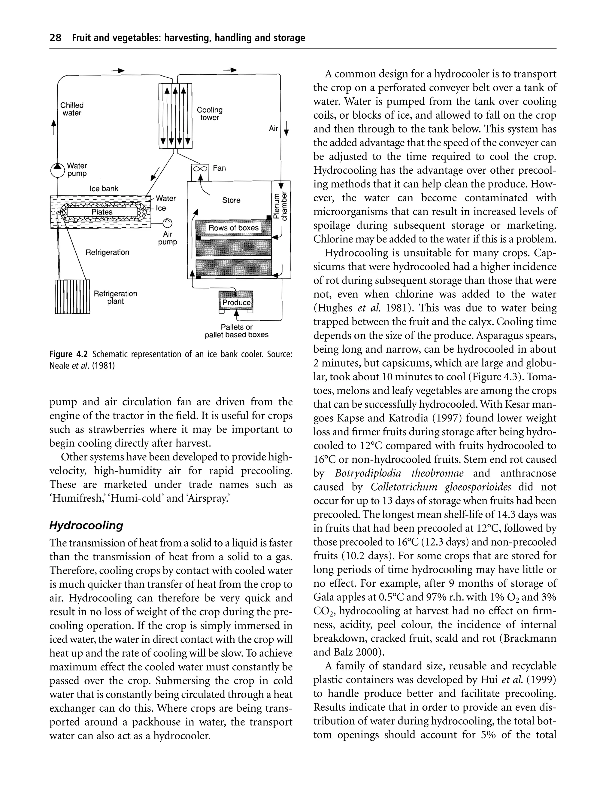 Fruit and vegetables Harvesting, Handling and Storage PDF