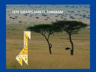 FEM GIRAFES AMB EL TANGRAM 
