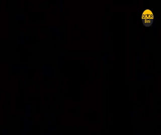 Fruit Beverages - RTS 