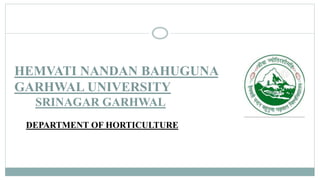 HEMVATI NANDAN BAHUGUNA
GARHWAL UNIVERSITY
SRINAGAR GARHWAL
DEPARTMENT OF HORTICULTURE
 