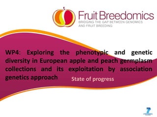 WP4: Exploring the phenotypic and genetic
diversity in European apple and peach germplasm
collections and its exploitation by association
genetics approach      State of progress
 