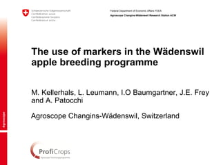 Federal Department of Economic Affairs FDEA
                       Agroscope Changins-Wädenswil Research Station ACW




The use of markers in the Wädenswil
apple breeding programme


M. Kellerhals, L. Leumann, I.O Baumgartner, J.E. Frey
and A. Patocchi

Agroscope Changins-Wädenswil, Switzerland
 