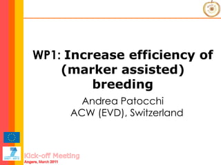 WP1:  Increase efficiency of (marker assisted) breeding Andrea Patocchi ACW (EVD), Switzerland 