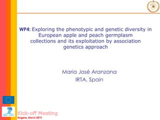WP4:  Exploring the phenotypic and genetic diversity in European apple and peach germplasm collections and its exploitation by association genetics approach Maria José Aranzana IRTA, Spain 