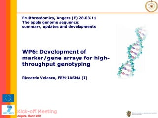 Fruitbreedomics, Angers (F) 28.03.11   The apple genome sequence:  summary, updates and developments WP6: Development of marker/gene arrays for high-throughput genotyping Riccardo Velasco, FEM-IASMA (I) 