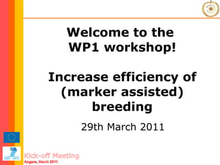 Welcome to the  WP1 workshop! Increase efficiency of (marker assisted) breeding 29th March 2011 