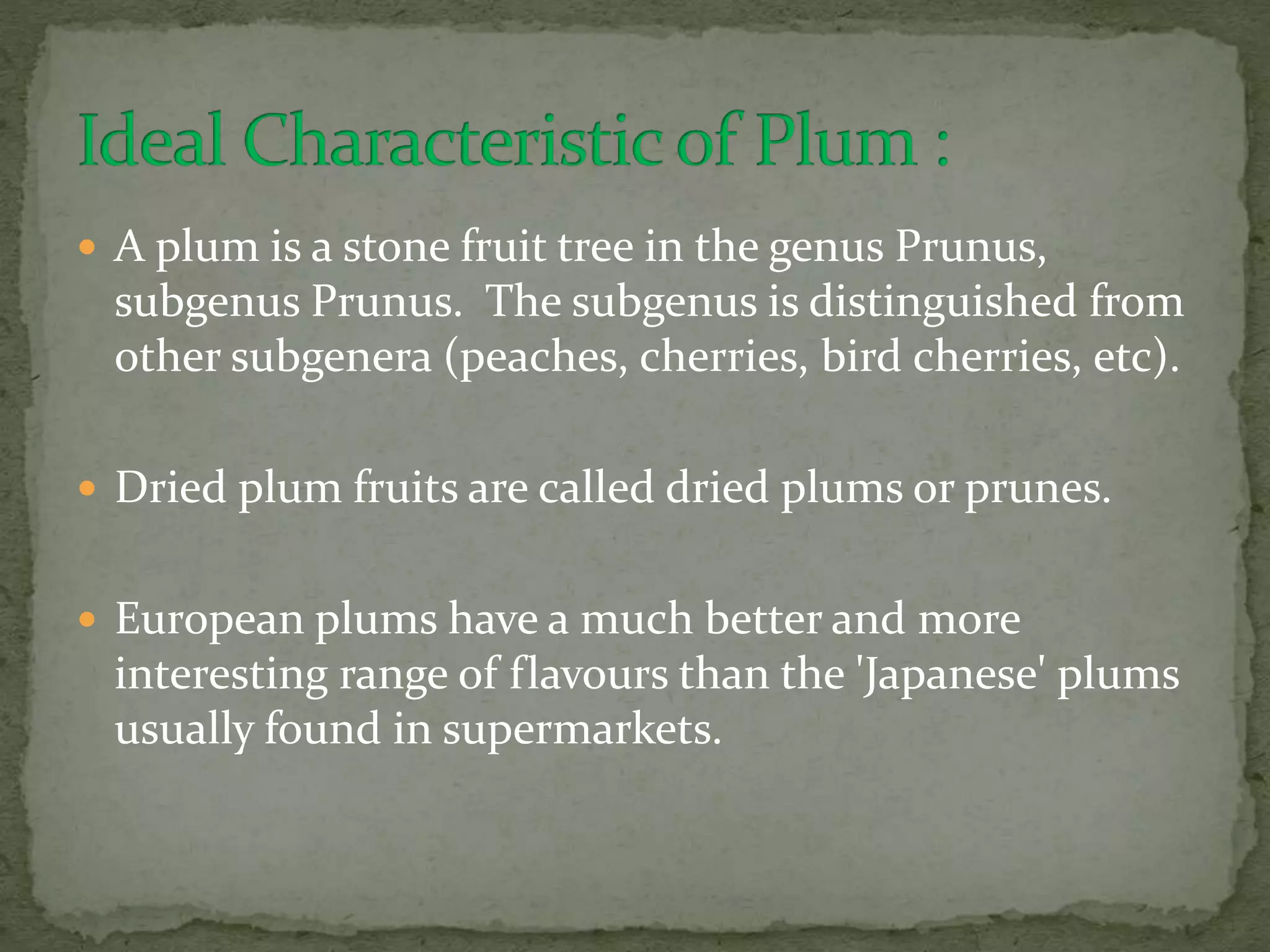  A plum is a stone fruit tree in the genus Prunus,
subgenus Prunus. The subgenus is distinguished from
other subgenera (peaches, cherries, bird cherries, etc).
 Dried plum fruits are called dried plums or prunes.
 European plums have a much better and more
interesting range of flavours than the 'Japanese' plums
usually found in supermarkets.
 