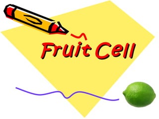 FruitFruit CellCell
 