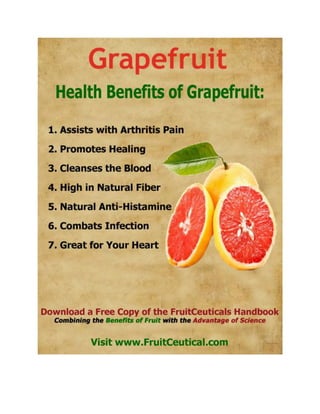 FruitCeutical Handbook At-a-Glance - Natural Health Benefits of Fruit