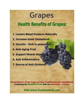 FruitCeutical Handbook At-a-Glance - Natural Health Benefits of Fruit