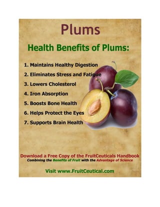 FruitCeutical Handbook At-a-Glance - Natural Health Benefits of Fruit