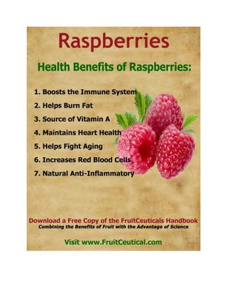 FruitCeutical Handbook At-a-Glance - Natural Health Benefits of Fruit