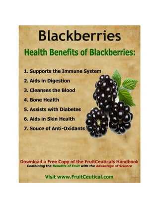 FruitCeutical Handbook At-a-Glance - Natural Health Benefits of Fruit
