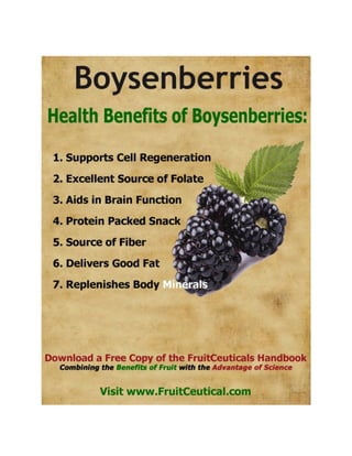 FruitCeutical Handbook At-a-Glance - Natural Health Benefits of Fruit