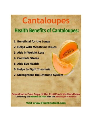 FruitCeutical Handbook At-a-Glance - Natural Health Benefits of Fruit