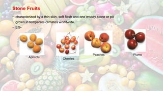 Stone Fruits
• characterized by a thin skin, soft flesh and one woody stone or pit
• grown in temperate climates worldwide.
• EG-
Apricots
Cherries
Peaches Plums
 